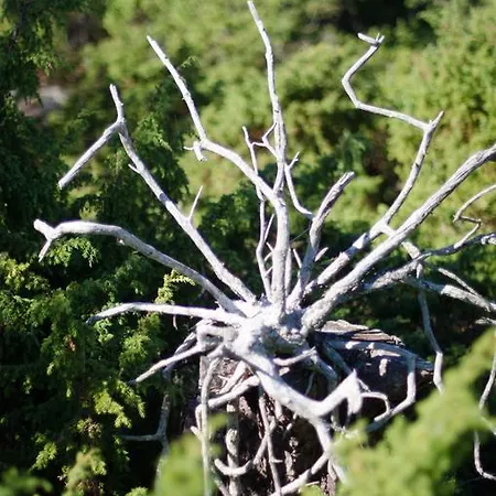 Lökskär Semesterbostad Vårdö