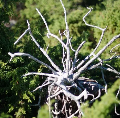 Lökskär Semesterbostad Vårdö